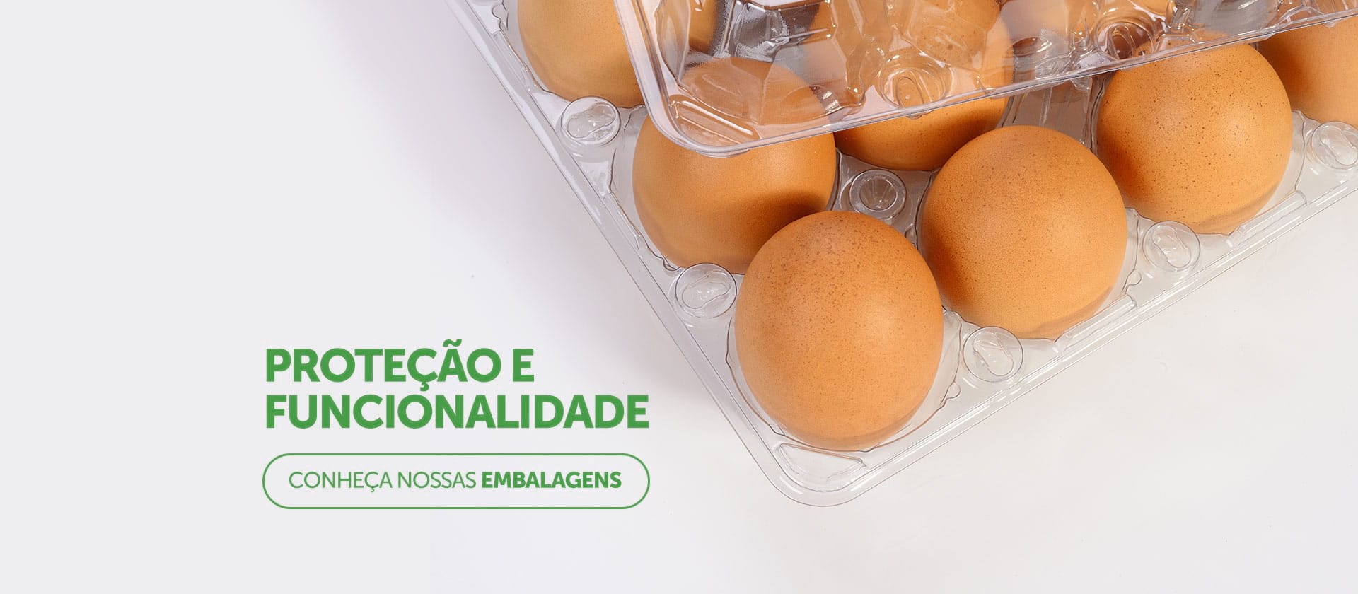 Proteção e Funcionalidade