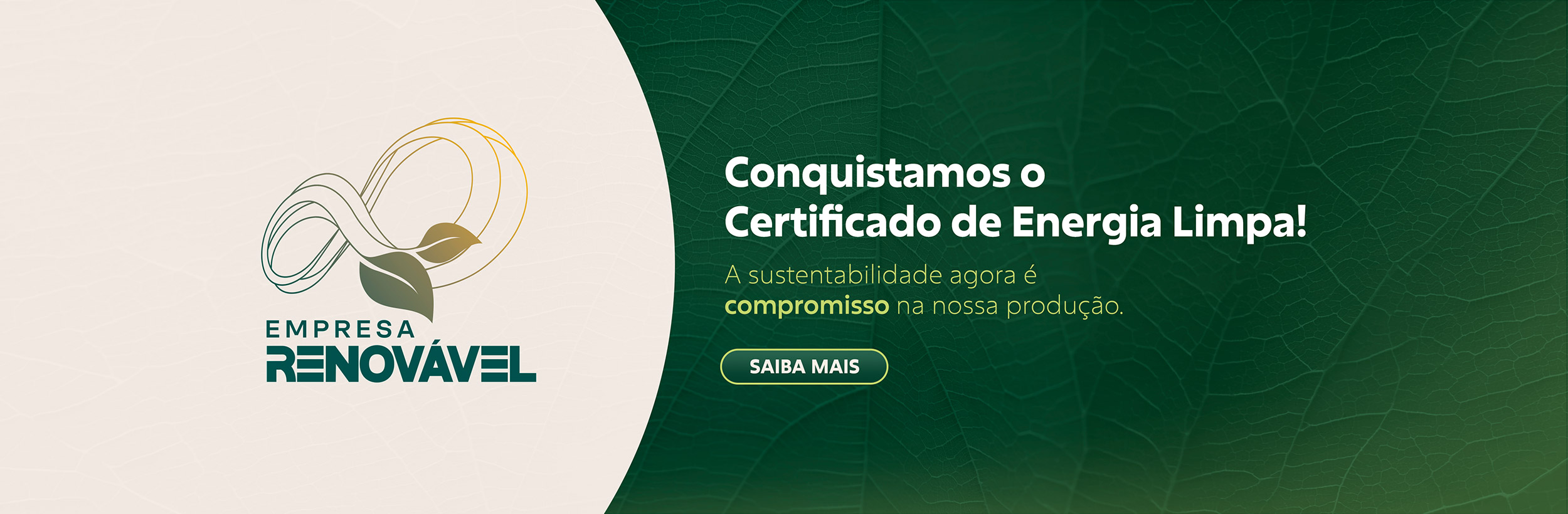 Energia Limpa